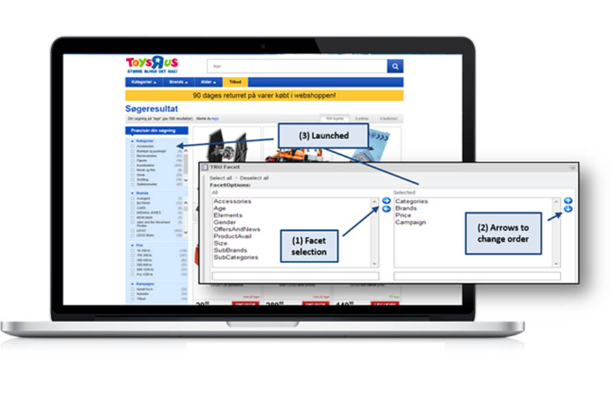 Quickly Customize Facets - Sitecore Search Solution