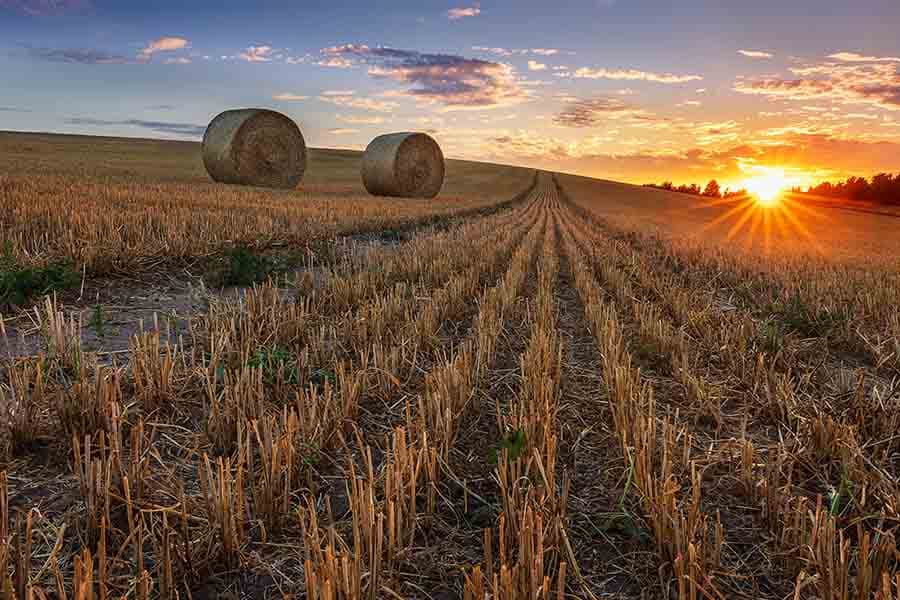 Sunset over a harvested field with two hay bales and a clear sky, casting a warm glow over the landscape.
