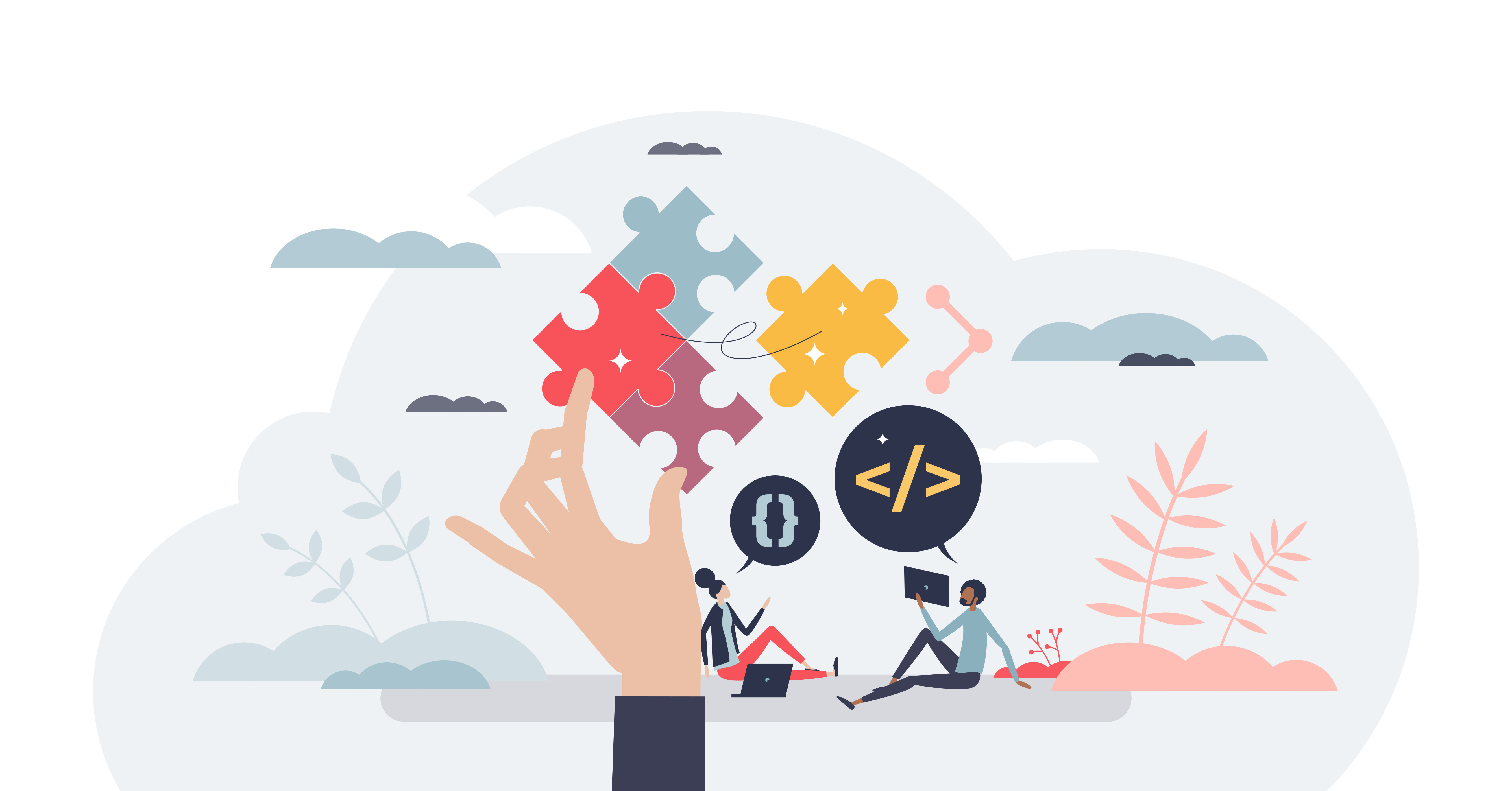 Software developers and programming language