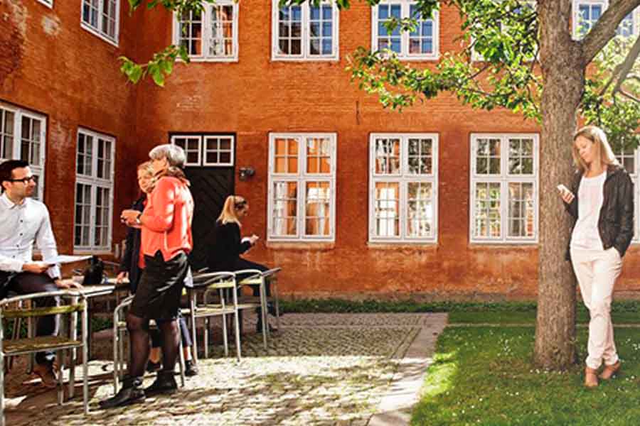 Summer in the courtyard