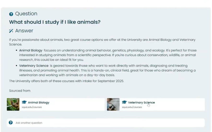 Conversational Search